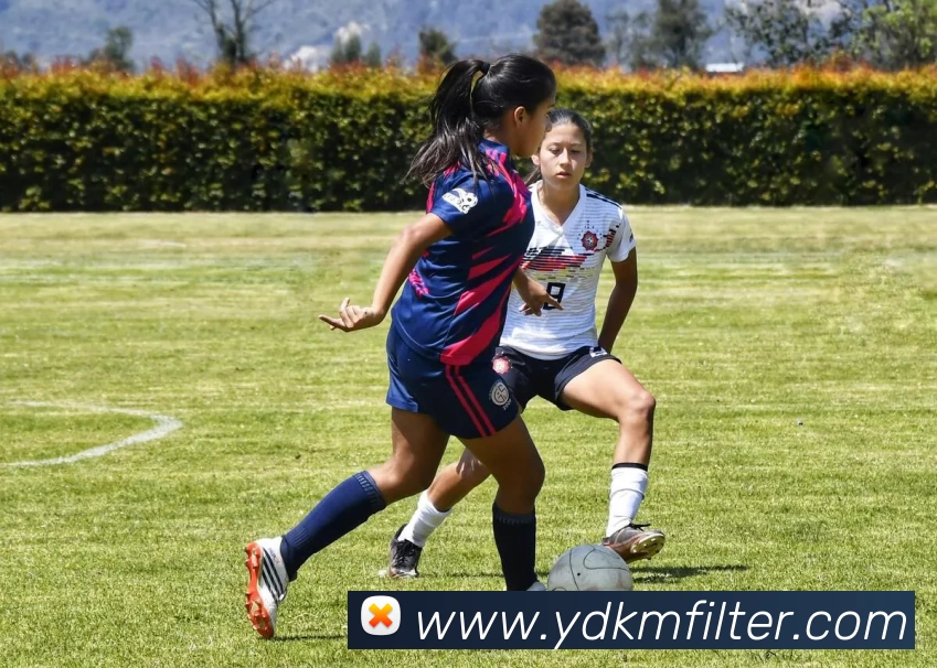 九游体育APP 高清赛事图